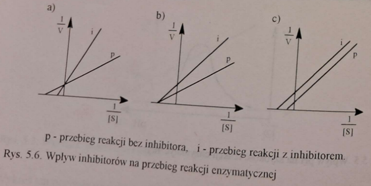 <p><span data-name="chains" data-type="emoji">⛓</span><span data-name="glass_of_milk" data-type="emoji">🥛</span><span><span>&nbsp;</span></span>Składnikami reakcji enzymatycznej są <strong>enzym, substrat(y), koenzym, kofaktor</strong>. Ich wzajemne powiązanie w określony układ przestrzenny pozwala na zajście reakcji.</p><p>Inhibicja polega na działaniu <strong>modyfikującym przestrzenny układ</strong> tych składników, co zmniejsza szybkość reakcji.</p>