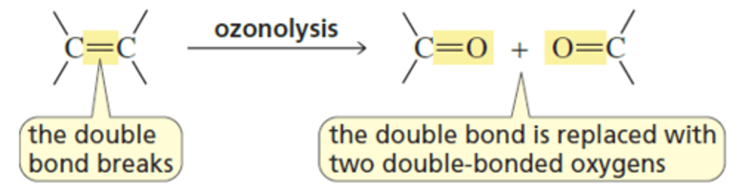 <p>Double bond cleavage</p><p>O=R-R</p><p>O=R-H</p><p>O=H-H</p>