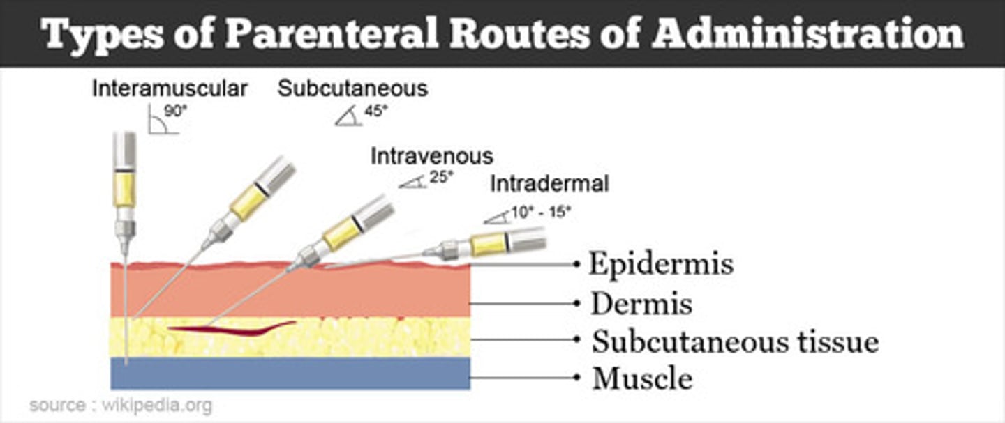 <p>- Any route other than mouth</p><p>- Fastest route, 100% available</p><p>- Examples: intradermal, subcutaneous, intramuscular, or intravenously (RECTAL! - Prof Ford)</p>