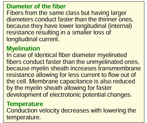 <p>TAKE NOTE: Myelination increases the membrane resistance but decreases the capacitance.</p>