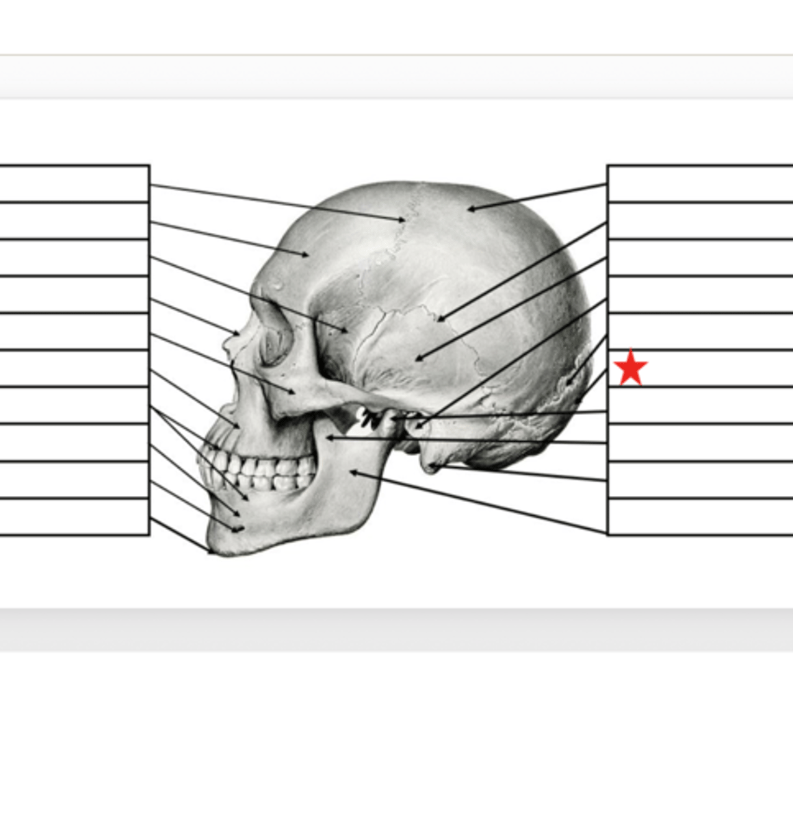 <p>What is this?</p>