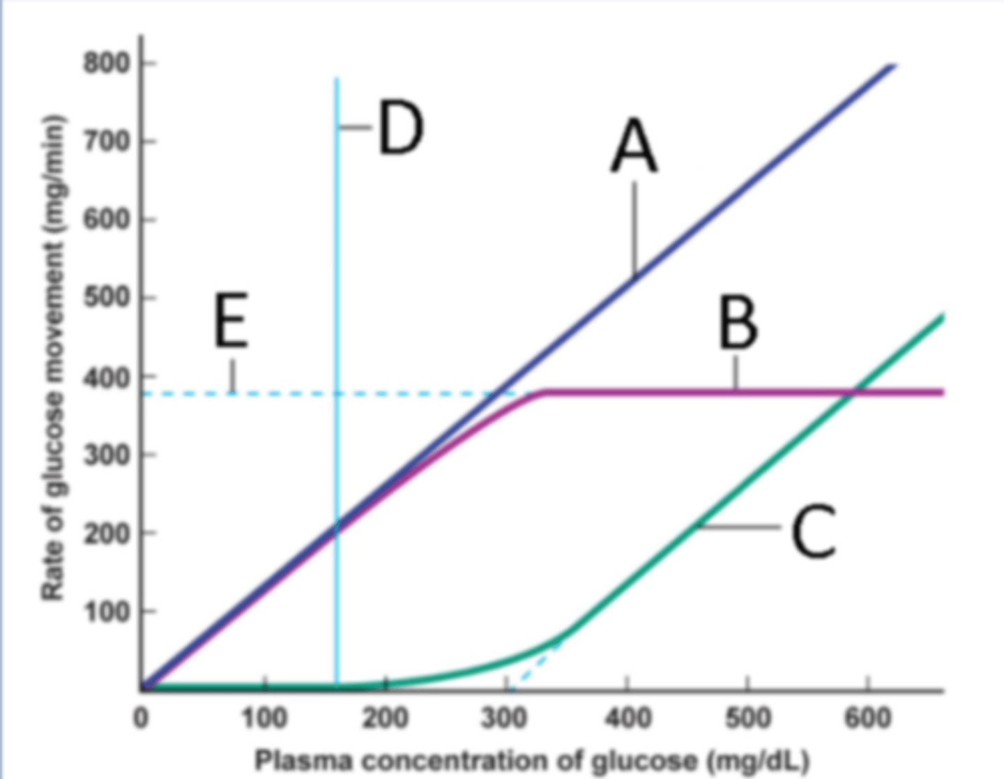 <p>Excretion</p>