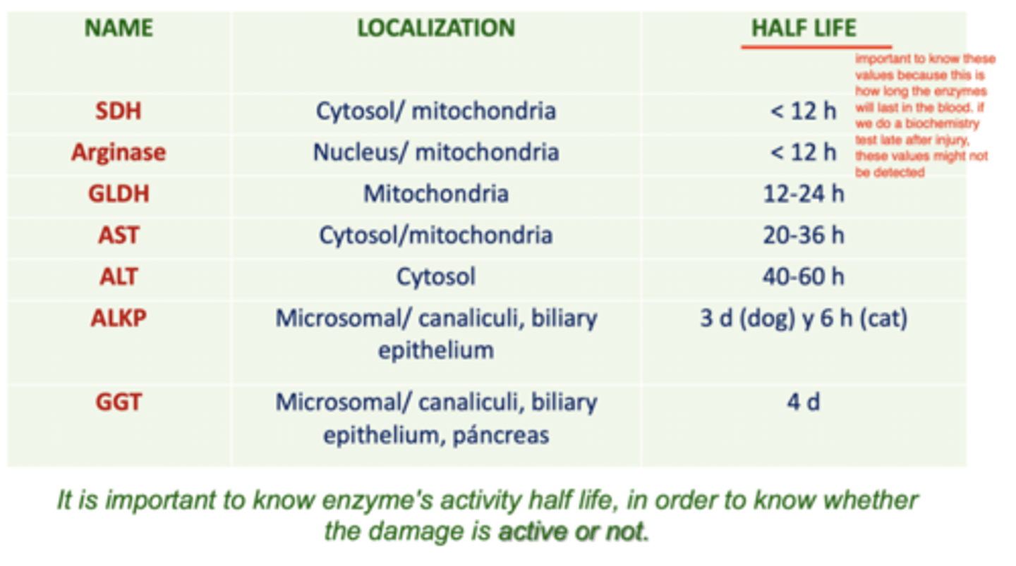 <p>cytosolic, because this means that the injury is more severe, involving destruction of the entire hepatocyte.</p><p>cytosolic enzymes include: ALT, AST, GLDH, LDH, arginase</p>