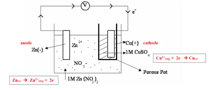 <p>what ions will not be passing through the porous container, why?</p>