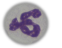 <p>What is this?</p>