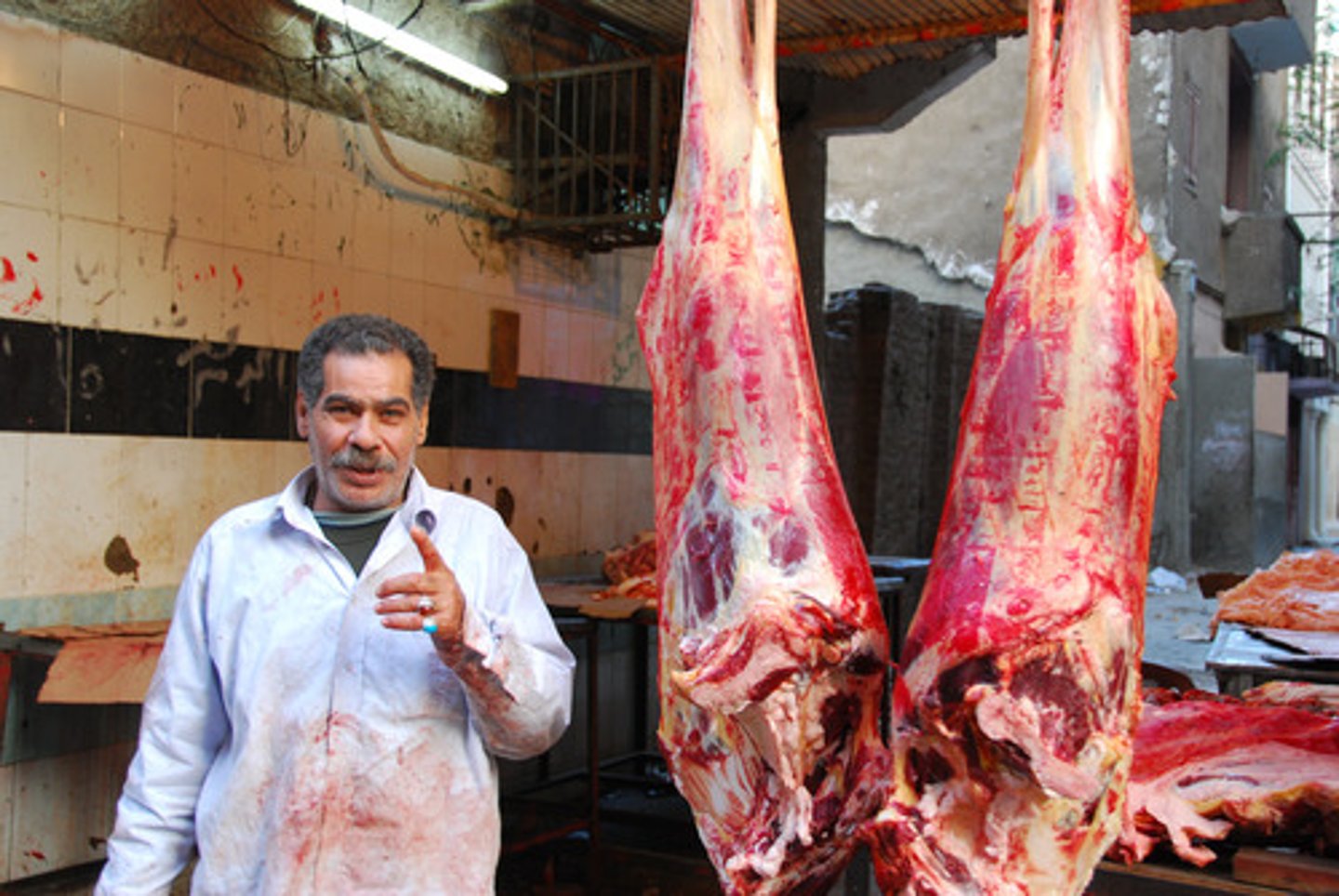 <p>butcher</p>