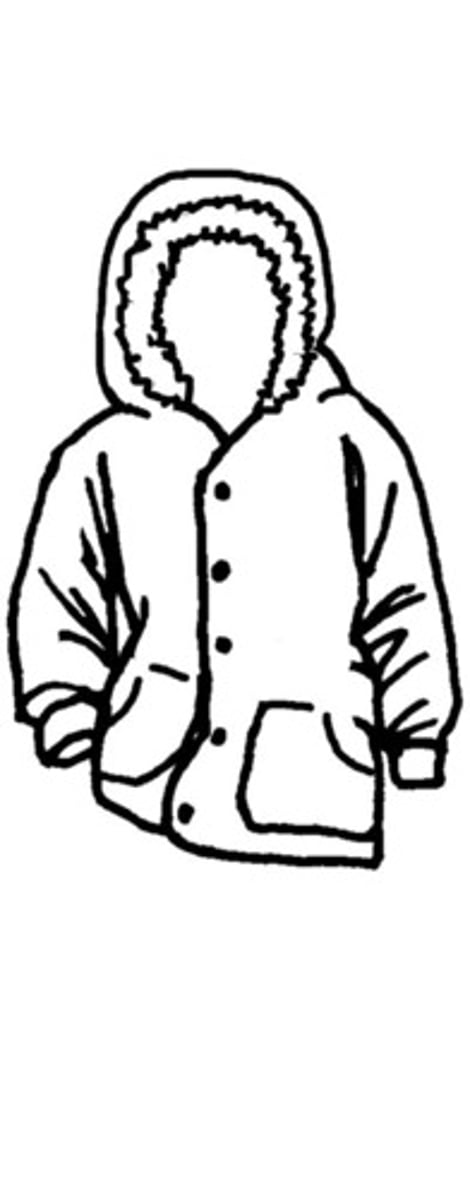 <p>(the) coat</p>