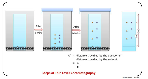 <p><span>Distance leading edge of component moves/ Total distance solvent front moves</span></p><ul><li><p>Find Unknown Components </p></li></ul><p></p>