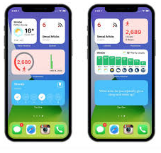 <p><span>a small application or tool that provides specific functionalities or information, often enhancing the user experience by giving quick access to features or real-time updates</span></p>
