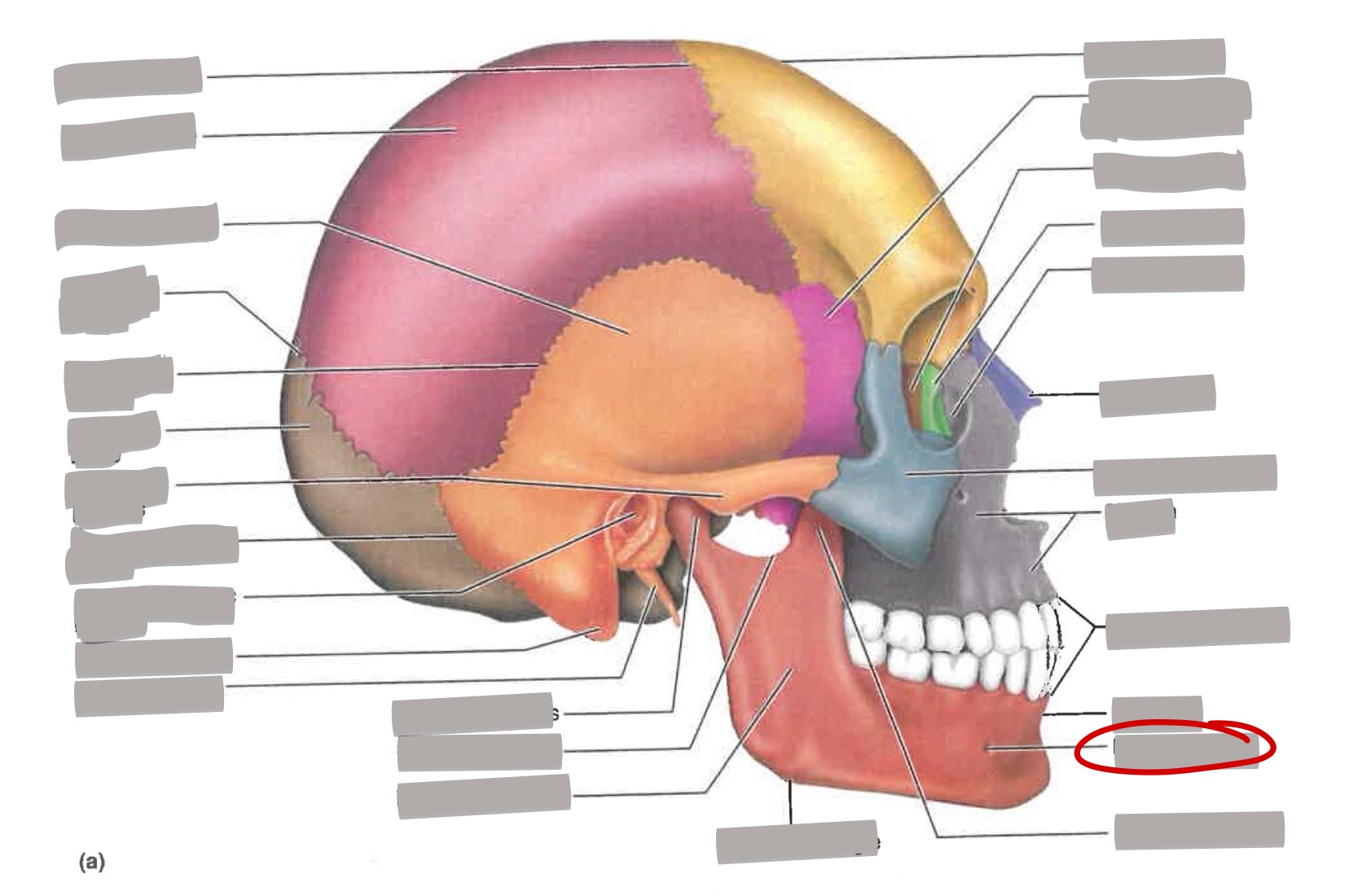 term image