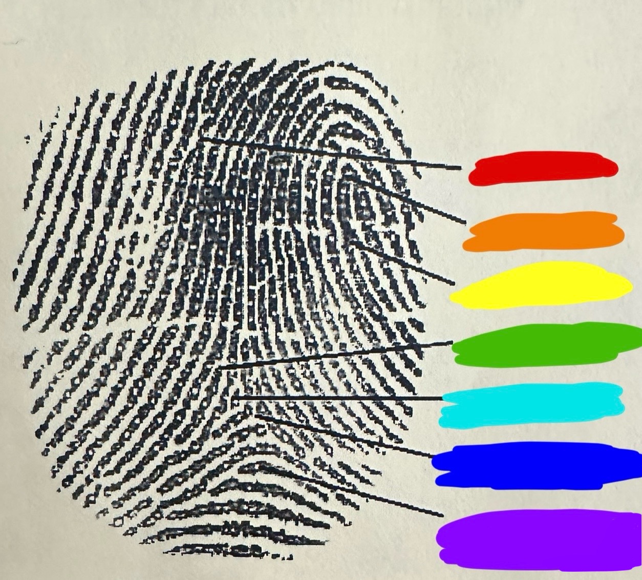 <p>label the characteristics on the print </p><p>purple is?</p>