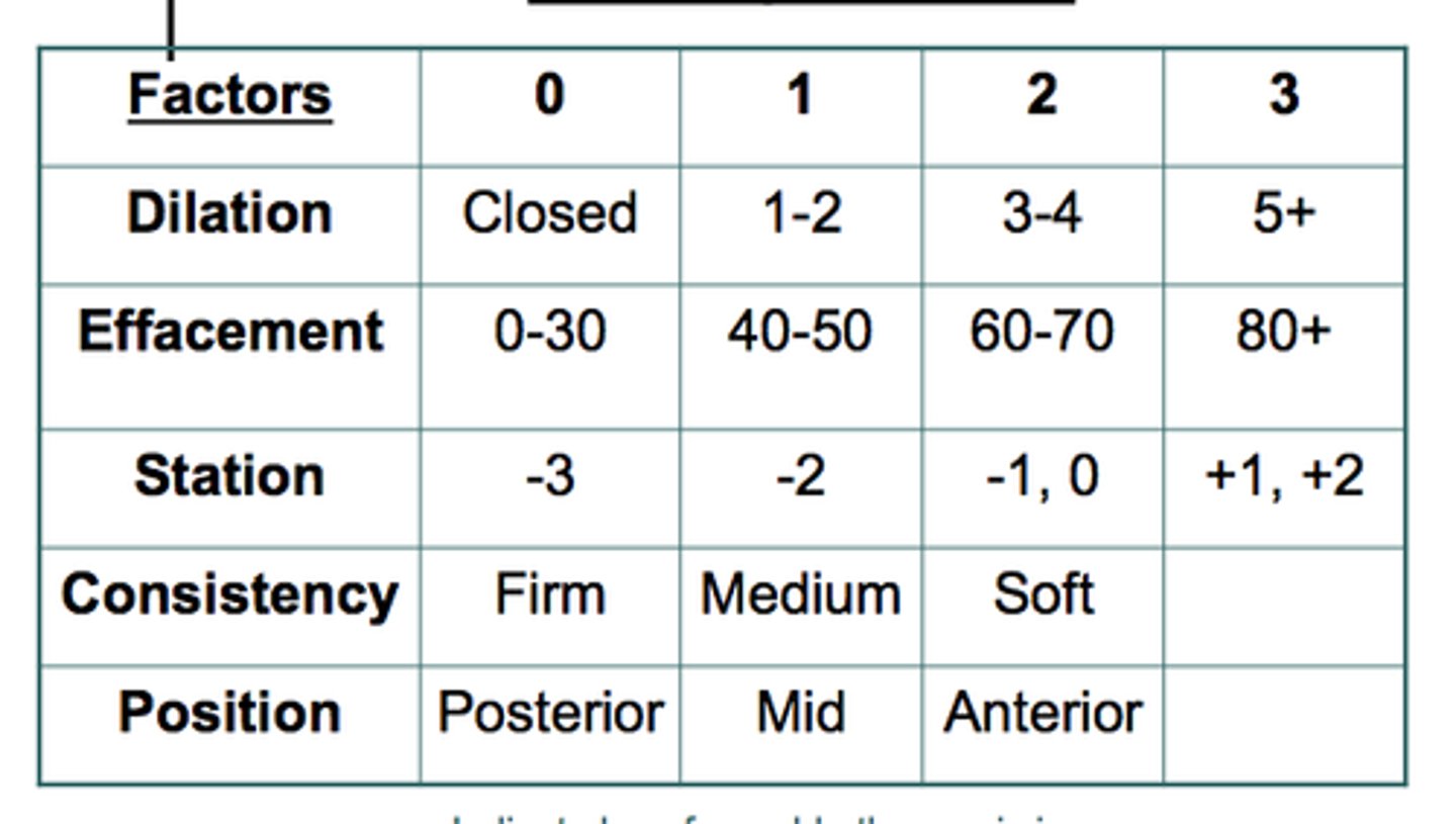<p>Determines maternal readiness for labor by evaluating whether the cervix is favorable by rating cervical dilation, effacement, consistency, position, and station</p>