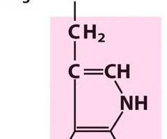<p>What Amino Acid is This?</p>