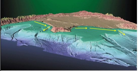 <p>sediments are transported alongshore, then move offshore @ submarine canyons</p>