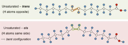 \-A lipid made from fatty acids that have at least one double bond between carbon atoms.

\-Liquid at room temperature
