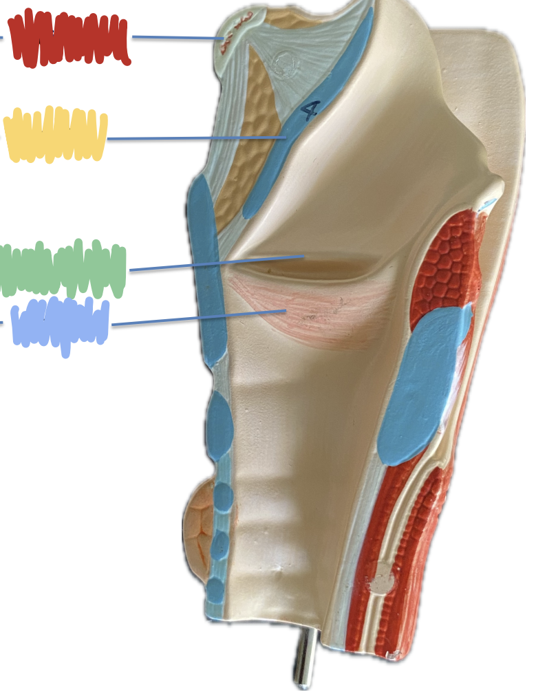 <p>What is indicated by the Green?</p>
