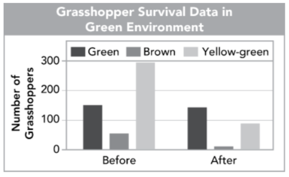 <p>grasshopper populations before and after blue jays preyed on them</p><ul><li><p>which colored hopper was most likely to not unalive themselves</p></li></ul>