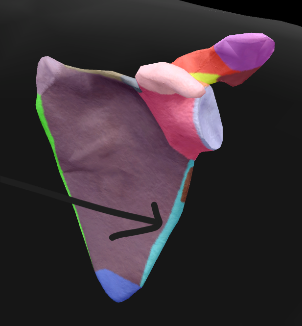 term image