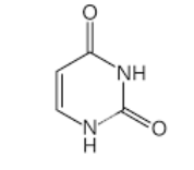 <p>what base is this</p>