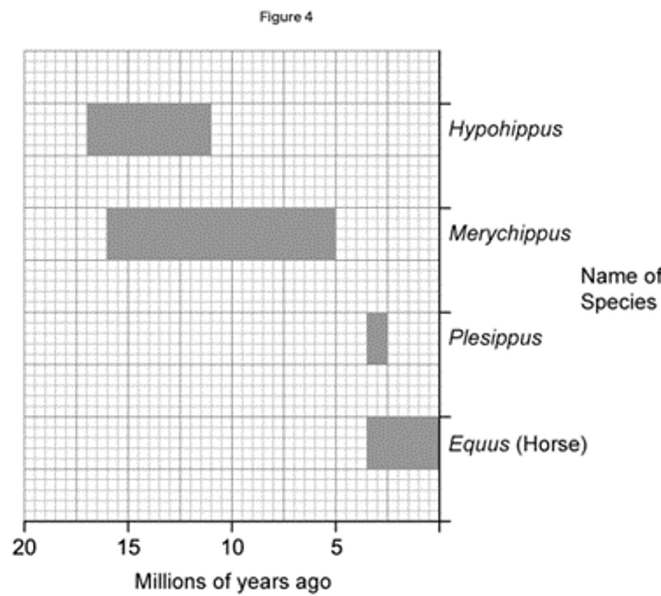 <p>The number of years that both Hypohippus and Merychippus existed together is:<br>5 million years</p>