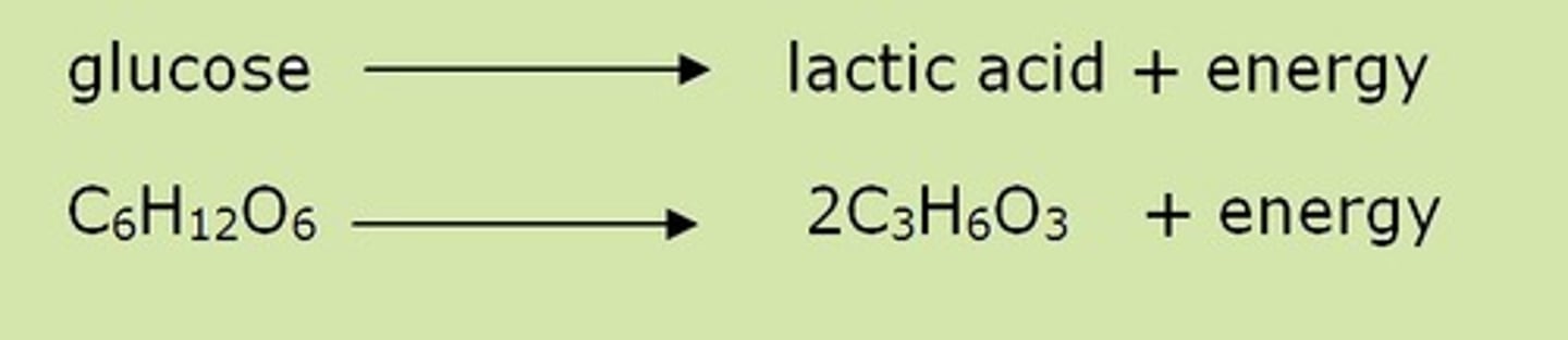 <p>Insufficient oxygen available</p><p>Produces much less ATP</p><p>Lactic acid produced in Humans</p><p>Ethanol and C02 produced in plants</p>