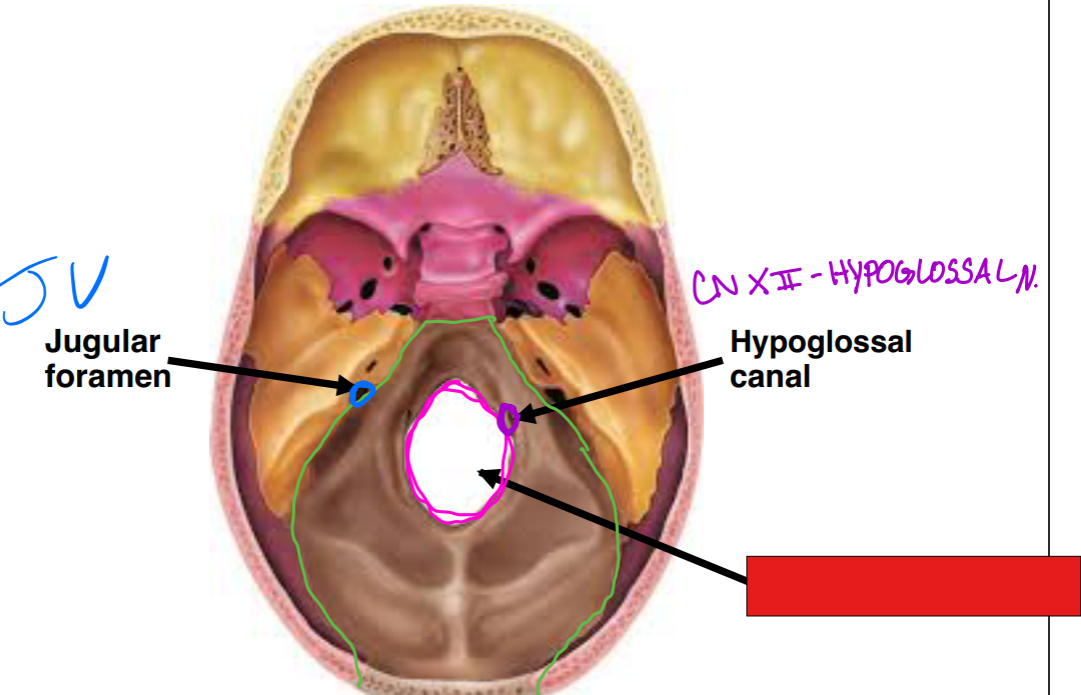 <p>fill in the red box:</p>