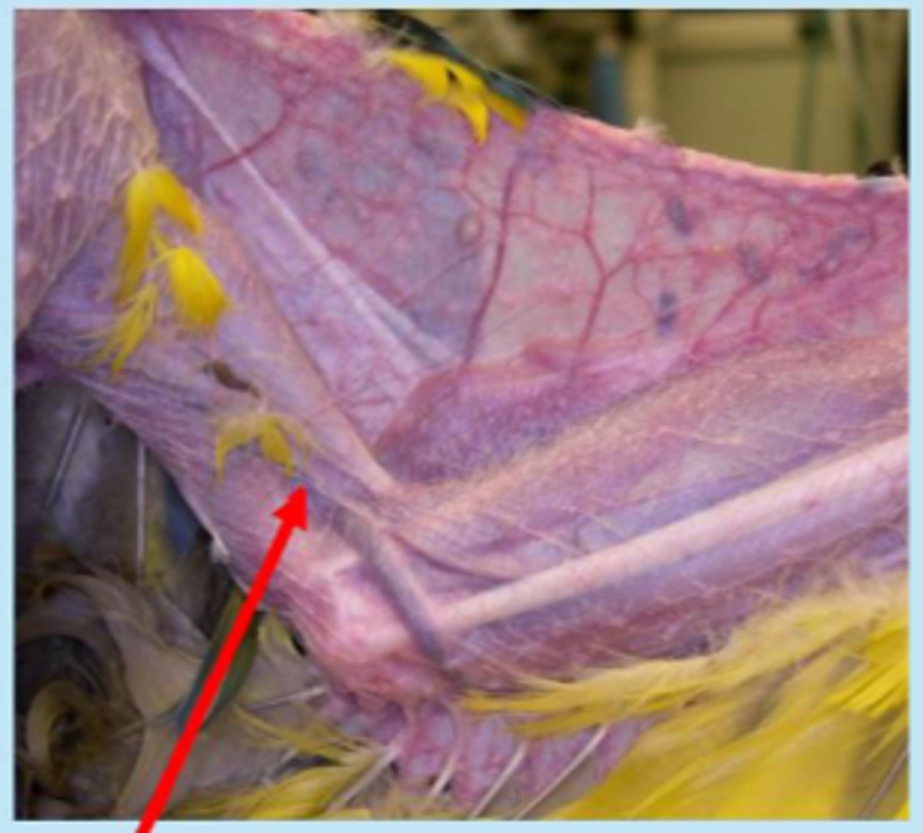 <p>What is shown here?</p>
