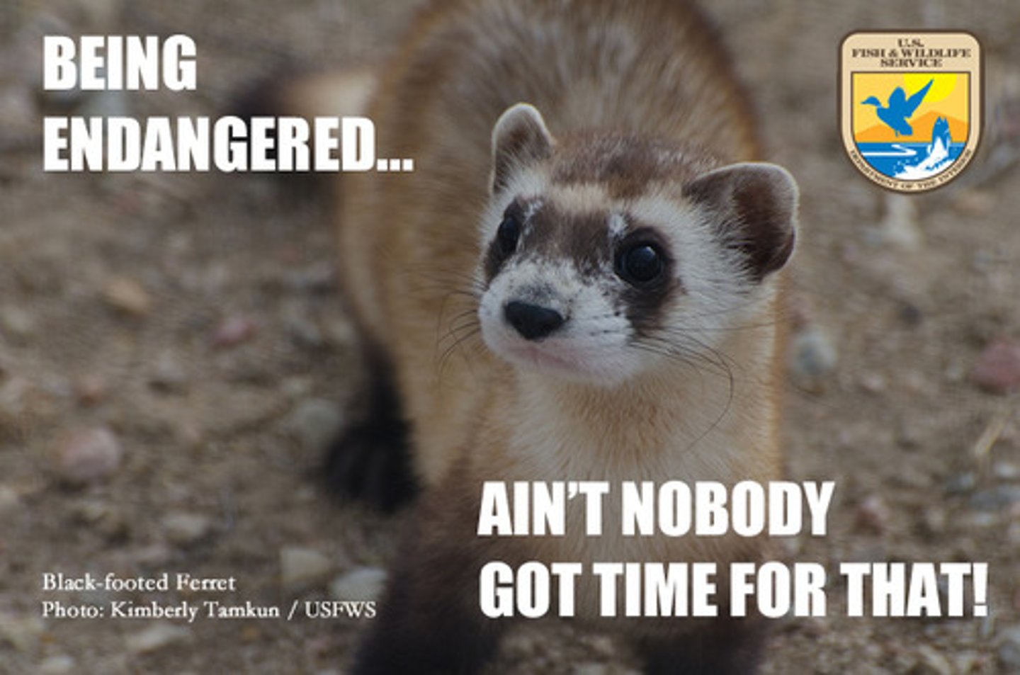<p>I don't have time</p>