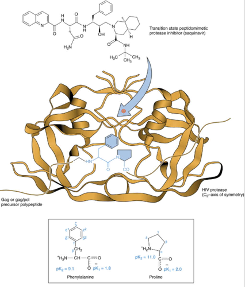 <p>Competitive inhibitors of HIV protease</p><p>-- Saquinavir; <strong>ritonavir</strong>; lopinavir; indinavir; nelfinavir; tipranavir</p><p>Prevent proteolytic cleavage of HIV gag and pol precursor polyproteins</p><p>- (gag) Essential structural proteins</p><p>- (pol) Essential enzymatic proteins</p><p>Prevents maturation of virus to infectious form</p>