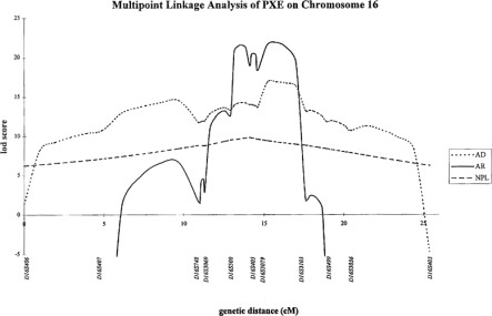 <p>The most frequently occurring score(s) in a distribution</p>