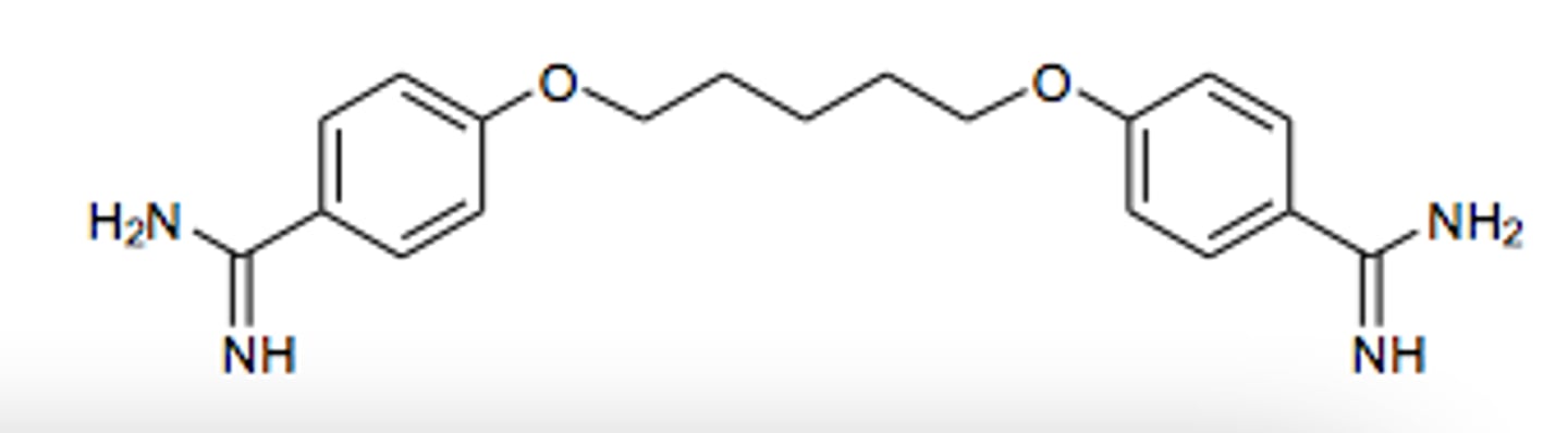 <p>fungicidal topoisomerase inhibition</p>