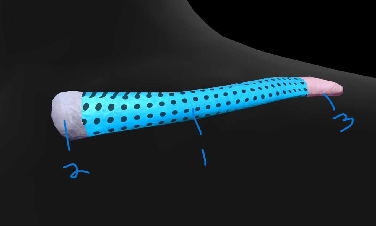 <p>Label clavicle 2</p>