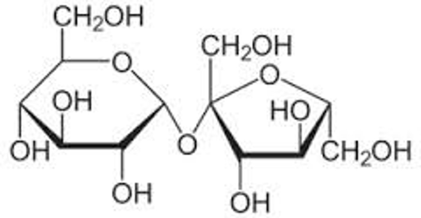 <p>_______________ sugar</p>