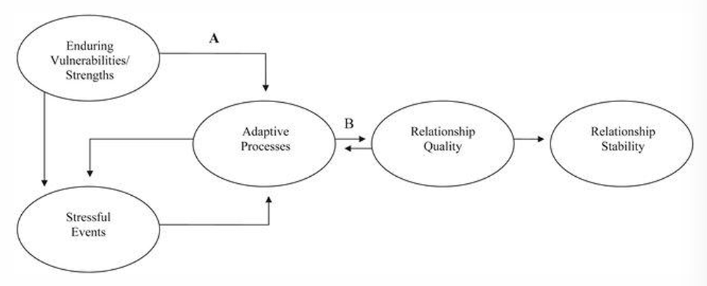 <p>framework that explains how a variety of stressors and strengths combine to predict the quality of a relationship (Karney &amp; Bradbury, 1995) </p><ul><li><p>Is often used to explain marriage stability vs. divorce, but also applies to relationships that experience societal stressors</p></li></ul><p></p>