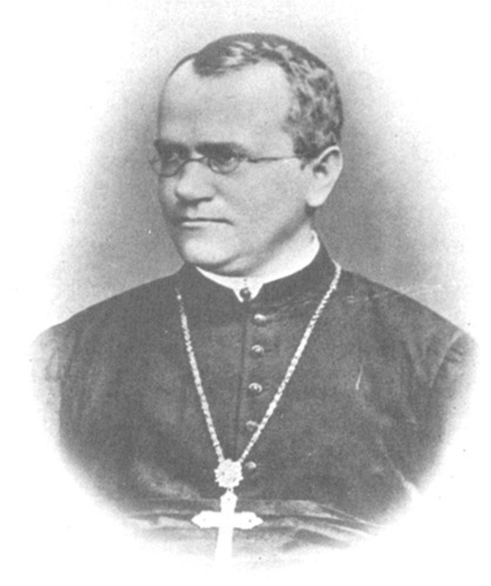 <p>Gregor Mendel</p>