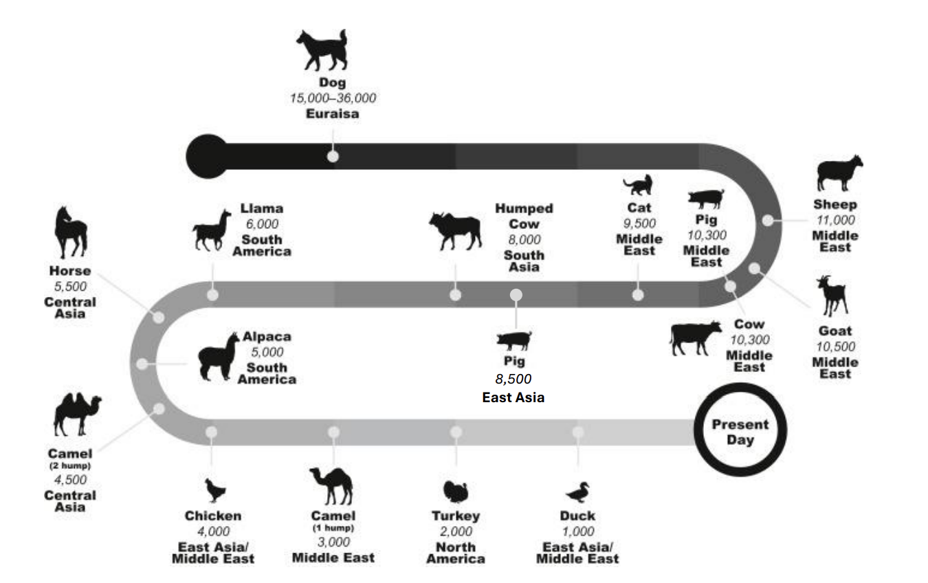 <ol><li><p>Dogs</p></li><li><p>Cats</p></li><li><p>cattle and pigs</p></li><li><p>horses and chickens</p></li></ol><p></p>