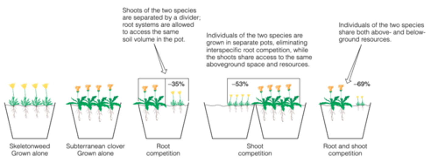 <p>increase either the above or below ground nutrients and allow the plants to fight over the other respective resource.</p><p>----------------</p><p>WHAT YOU SHOULD NOTICE:</p><p>- one plant will grow slowly while the other grows faster (indication the faster growing plant took the respctive resource)</p>