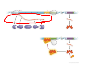 <p>What system + what structure</p>