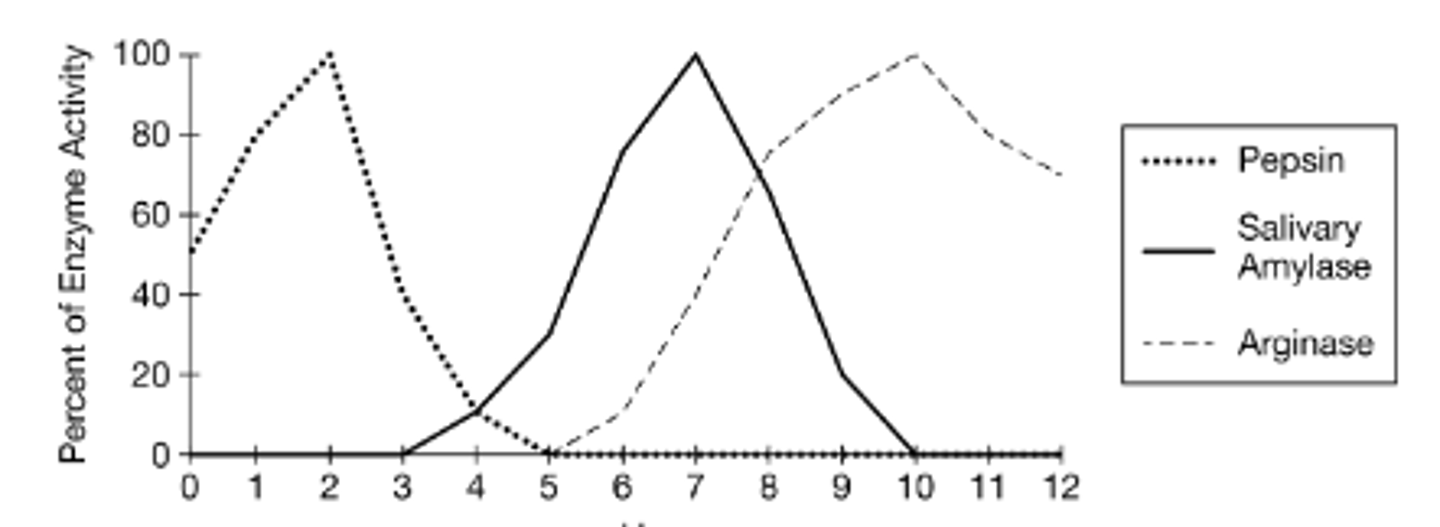 <p>Repeating the experiment with denatured enzymes</p>