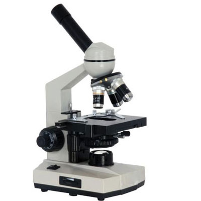Light microscope