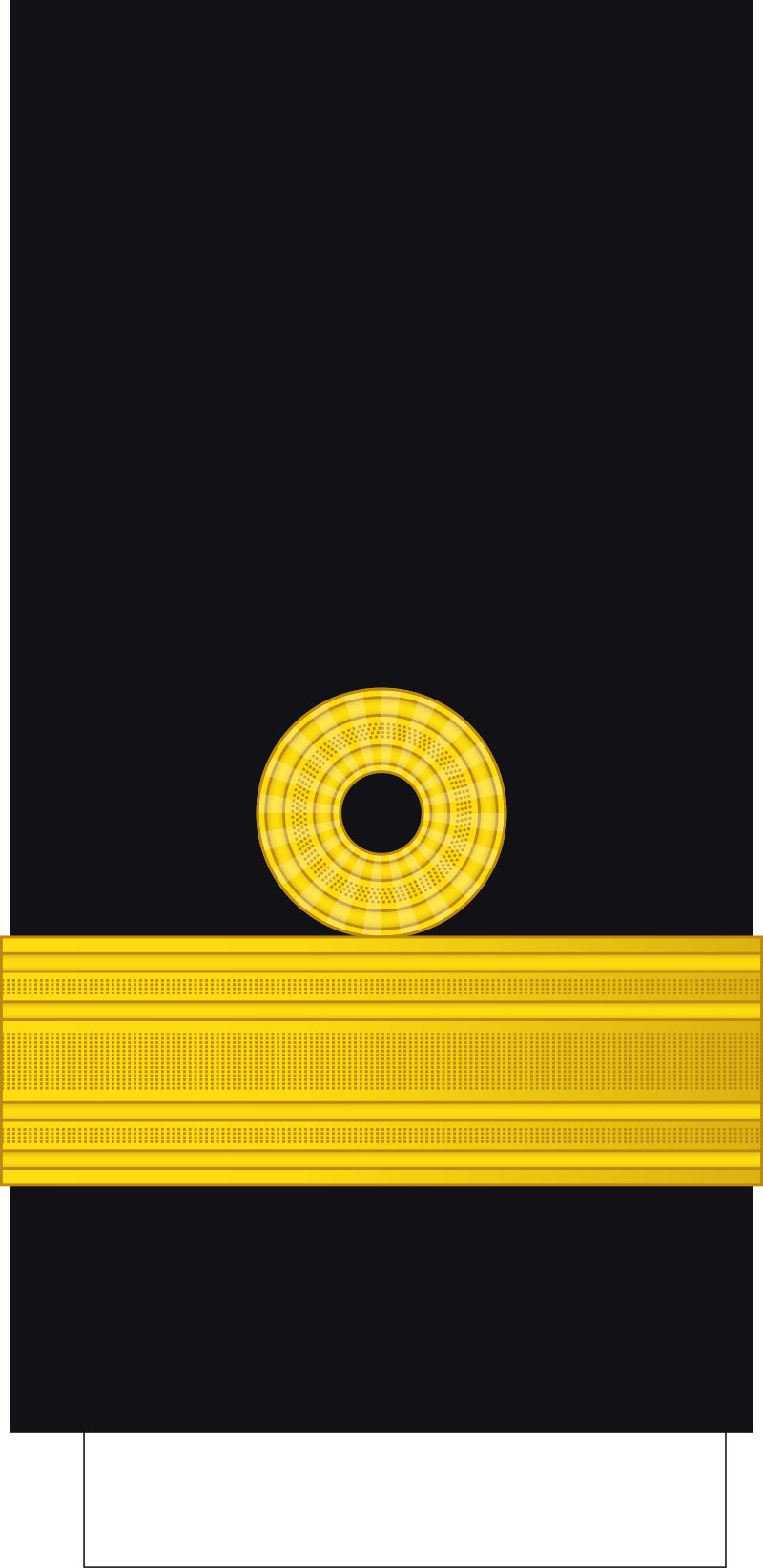 <p>What rank is this?</p>