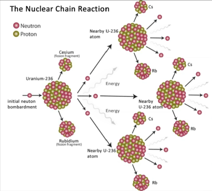 \
* Neutrons released by each fission event can trigger \n more events, in turn releasing more neutrons and causing more fissions
* This continues with the release of ever increasing amounts of energy until all the uranium nuclei have been split