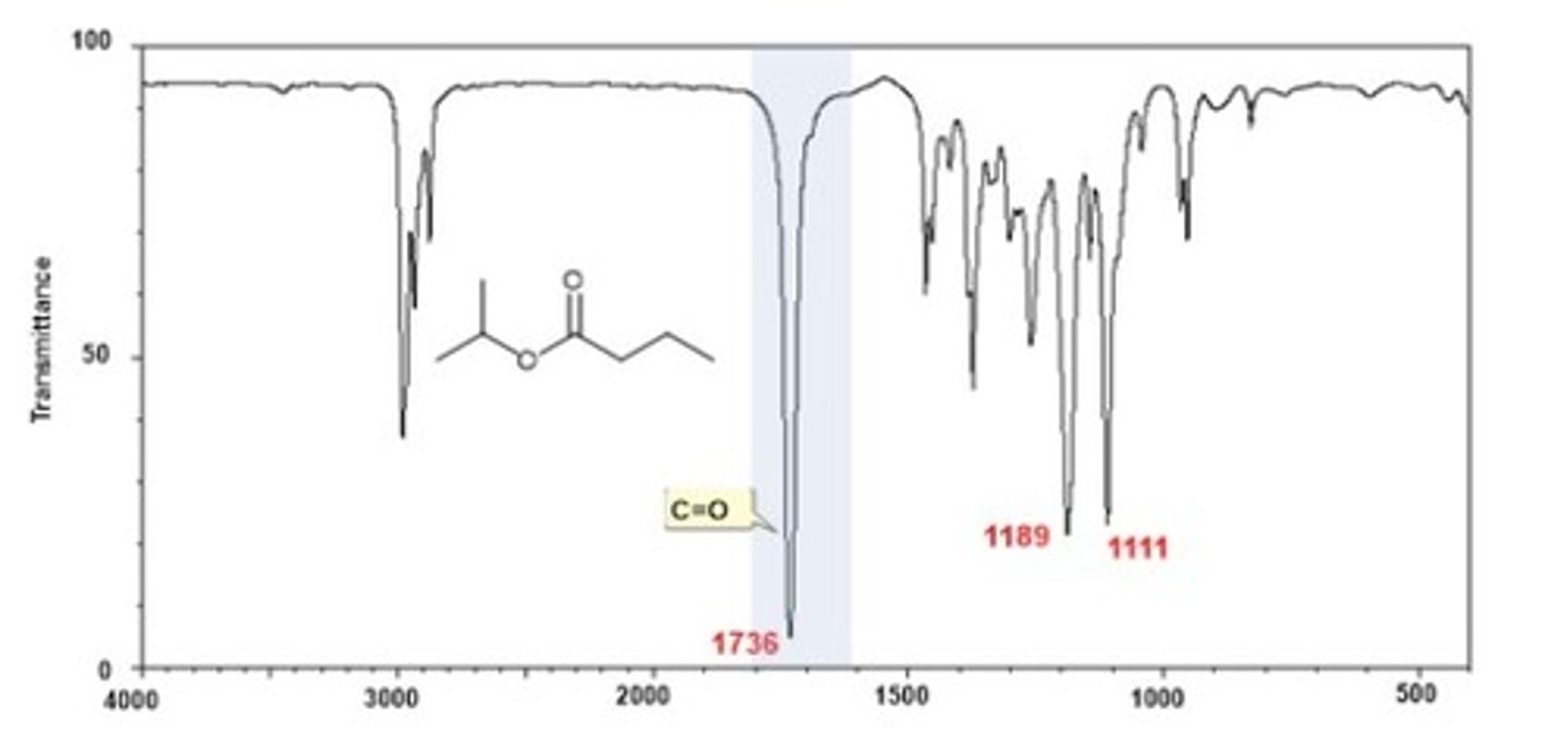 <p>1740 cm-1</p><p>Shape:</p><p>Intensity: strong</p>