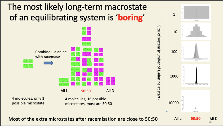 <ul><li><p><span><span>Nonequilibrium systems tend to evolve over time to equilibrium systems because systems take a random walk through “microstate space”, and this is overwhelmingly likely to wander into the ‘boring’ regions of this vast space than it is to wander into the exciting regions where </span><em><span>e.g.</span></em><span> all the alanine is in the L form, or all the iodine is in the left bulb, or all the fast-moving particles are in the same slab of metal. </span></span></p></li><li><p><span><span>It’s the same process as coin flipping: each flip is equally likely to give a head as a tail, but getting 6.022 × 102</span><sup><span>3</span></sup><span> heads in a row is ‘very’ unlikely.</span></span></p></li></ul><p></p>