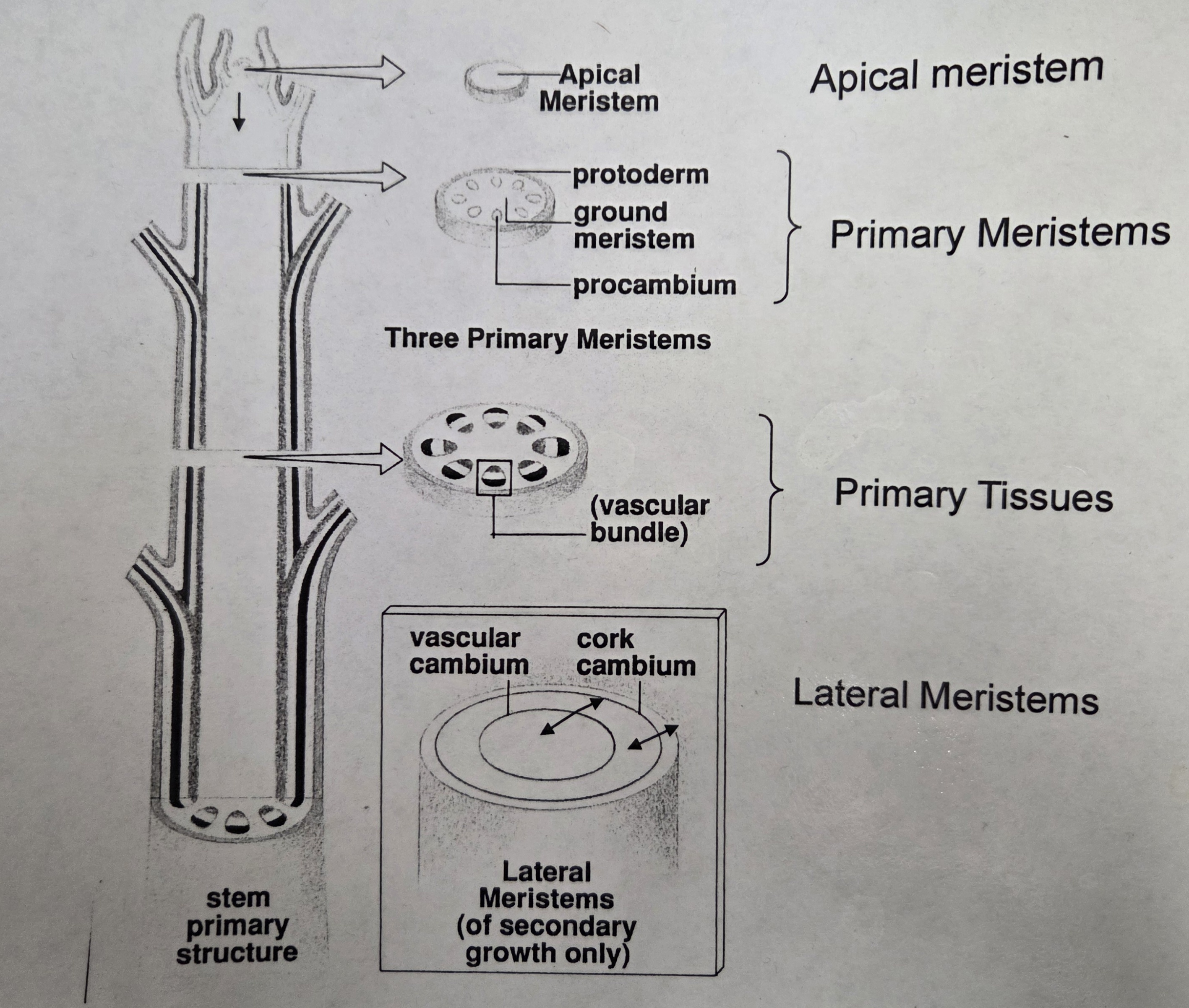 <p>Observe this!</p>