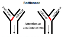 <p>attention works like a bottleneck of information processing stream.</p>
