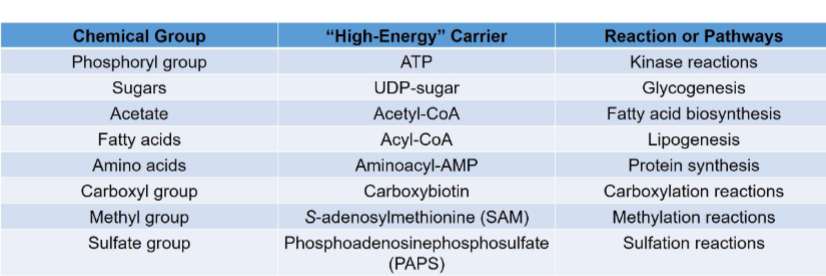 <p>ex: <mark data-color="yellow" style="background-color: yellow; color: inherit;">atp</mark>, udp-sugar, <mark data-color="yellow" style="background-color: yellow; color: inherit;">acetyl-coa,</mark></p>