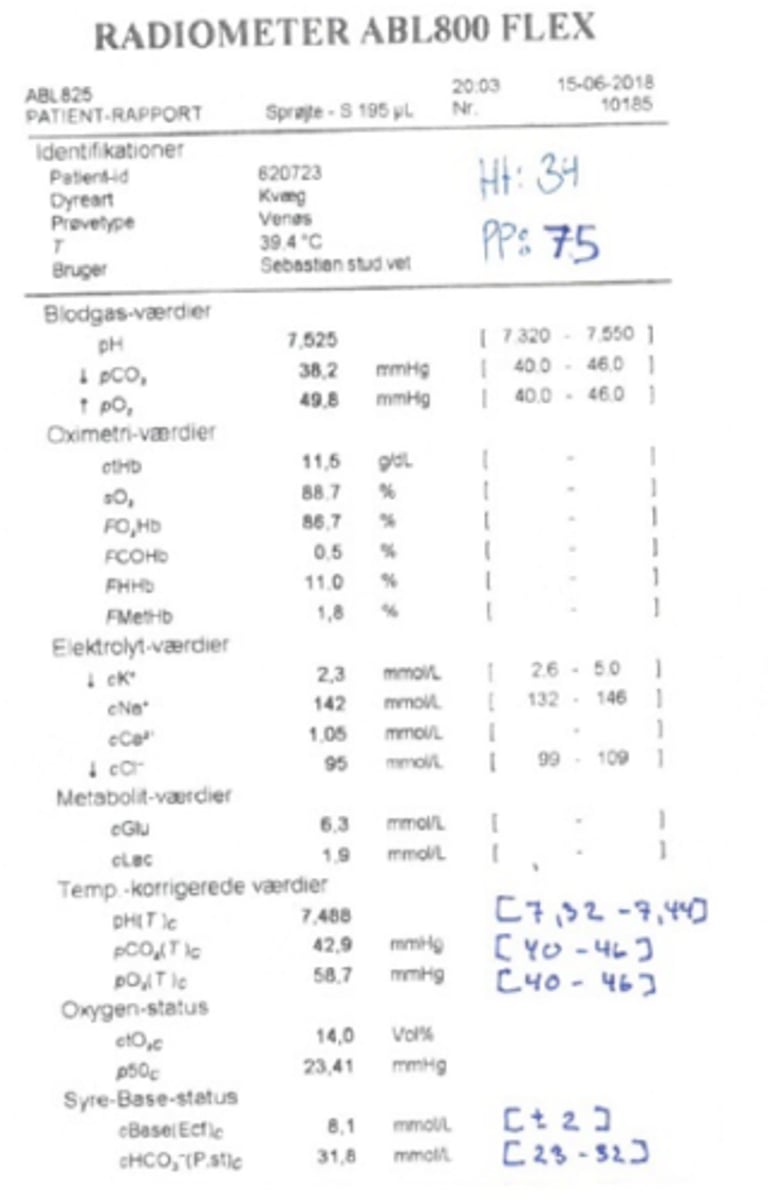 <p>Du undersøger en 4. kalvs ko 3 uger efter kælvning, hun er anorektisk og nedstemt. Hvordan vil du karakterisere denne syre-base udskrift og hvad fejler koen højest sandsynlig?</p><p>- Hypochloræmisk hypokalæmisk metabolisk alkalose som følge af penetrerende løbesår</p><p>- Hypochloræmiske hypokalæmisk metabolisk alkalose som følge af højresidig løbedrejning</p><p>- Hypochloræmisk hypokalæmisk respiratorisk alkalose som følge af bronchopneumoni</p><p>- Hypochloræmiske hypokalæmisk metabolisk alkalose som følge af colitis</p>