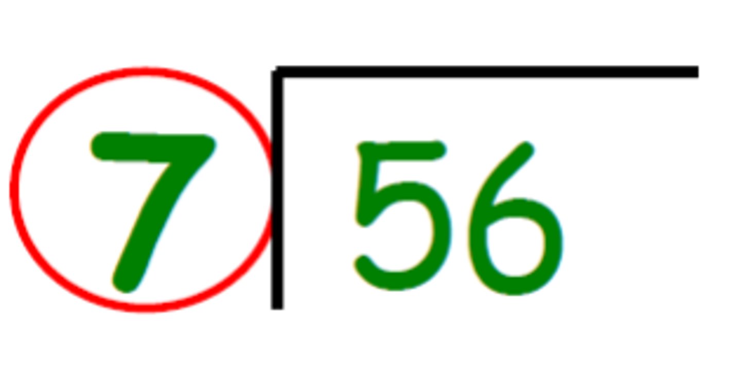<p>the number that divides the dividend (on the outside)</p>