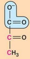 <p>what molecule is this?</p>